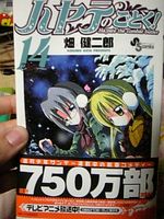 ハヤテのごとく！ 14巻