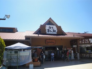 伊豆 村の駅