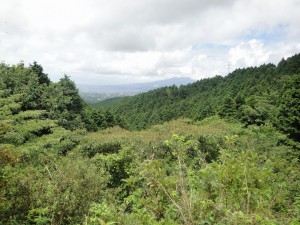 箱根峠からの眺め