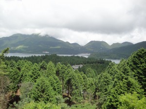 道の駅からの眺め　芦ノ湖が見える